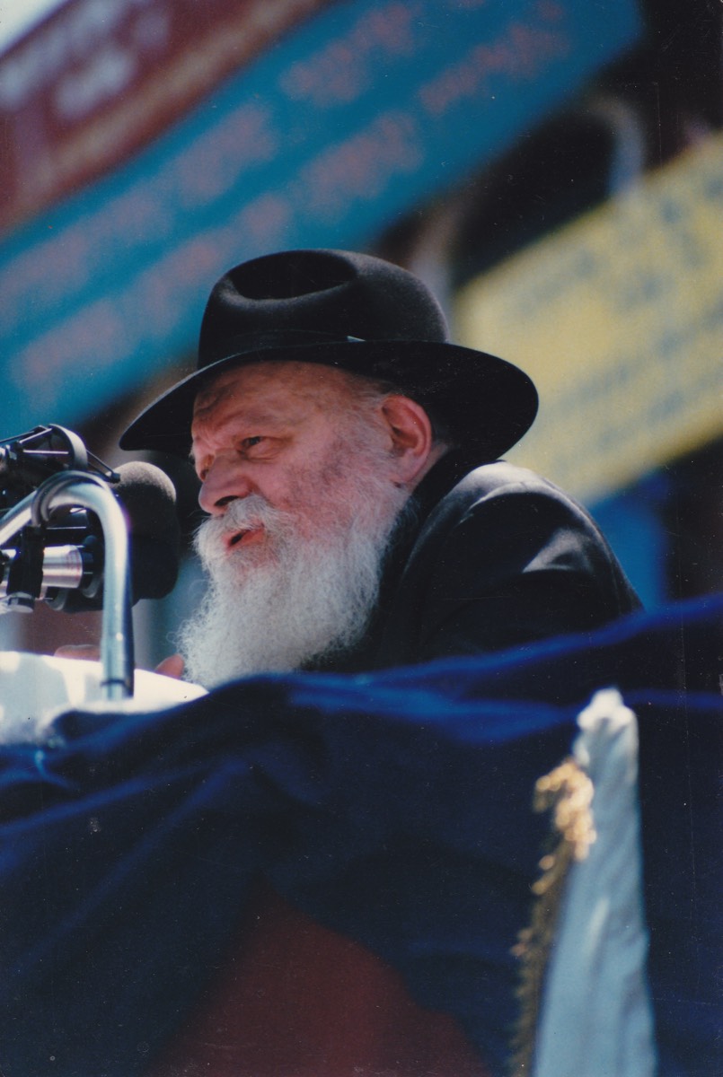 רבי מלך המשיח בדיוקן חזיתי