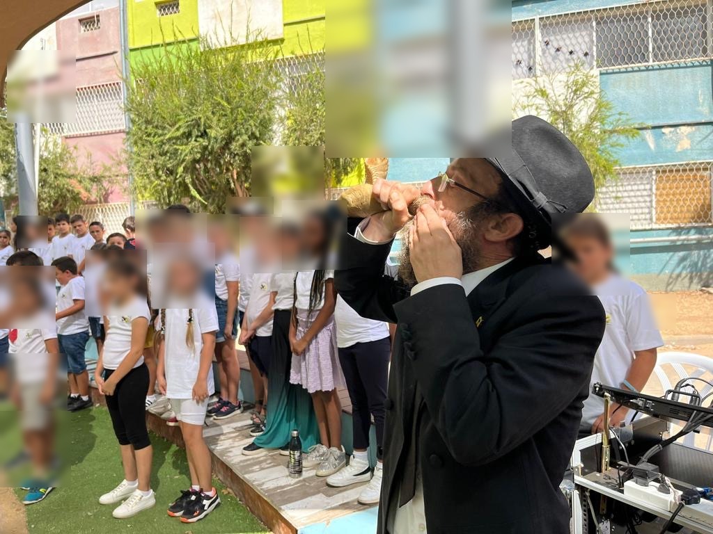 Развивающая и образовательная деятельность с детьми, фото 2